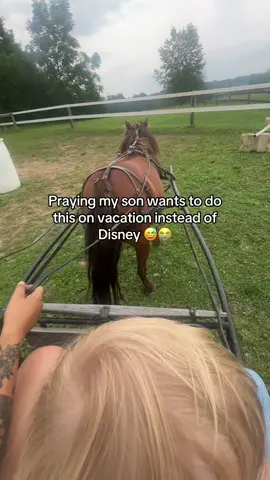 Let us pray #horse #horses #horsetok 
