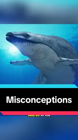 There were a LOT of comments #dinotok #dinosaur #accuratedinosaurs 