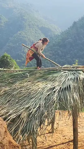 single mother: building a new house, roofing - making a warm roof with bamboo.