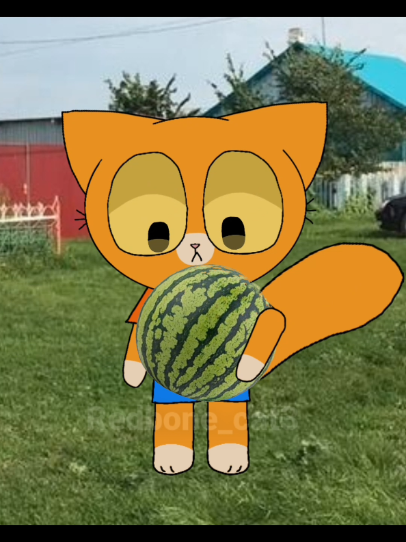 как правильно выбирать арбуз? 🍉#animationmeme #анимация #тигра #мурсдей #симбочкапимпочка #симба 
