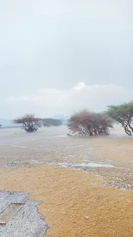 سيله تقول في رغوه🌧️🌧️⛈️#امطار_الوسم⛈️😍 #اكسبلورexplore ##🌧️🌧️⛈️⛈️☔☔🌧️🌧️⛈️⛈️☔☔ #editor #امطار #طقس_المهد #عشوائيات #اكسبلورexplore 