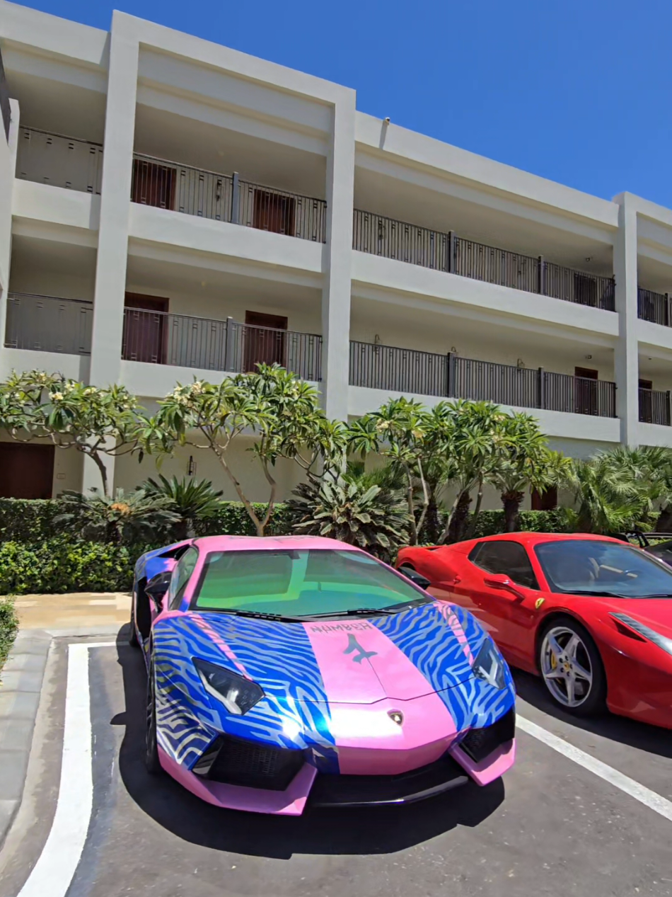 Cars of Al Alamein Hotel Part 2..  #moodyattalah #egypt #cairo #dubai #mydubai #nc #northcoast #Ferrari #Lamborghini #mercedes #rollsroyce #rangerover #porsche #tesla #amg #revuelto #458 #812 #gts #spider #spyder #cullinan #spectre #bentley #flyingspur #contenintal #gtc #luxury #money #rocket #exotic #exotics #exoticcar #exoticcars #speed 