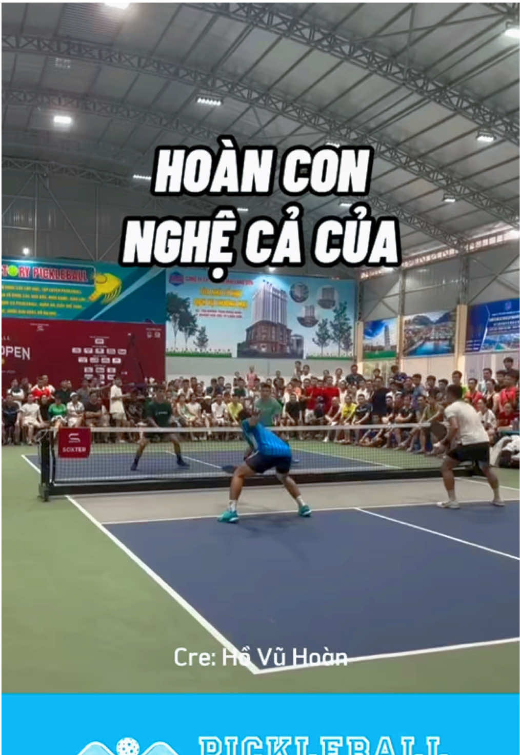 Thua củ nghệ màu vàng thôi Hoàn Con ❤️ #pickleball #pickleballvn #pickleballvietnam #truyenthongpickleball #hovuhoan 