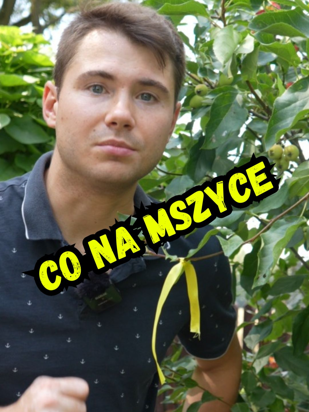Żółte wstążki na mszyce? 🟡🪰 Genialny trik ogrodniczy, który działa bez chemii!#ogród #ogrod #ogrodnictwo #ogrodnik #poradyogrodnicze #poradyogrodowe #roślin #rośliny #kwiat #kwiaty #kwiatuszki