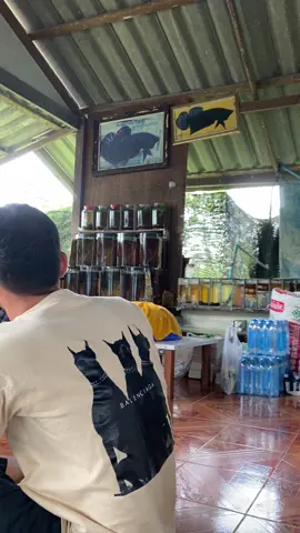 เบิกอาวุธหนักหน่อย(ไอ่แมงทับ)#ทีเด็ดตระกูลช #ท้ายTc #มีดีให้สู้ #หมูติดมันส์🐷 #นครปฐม #คนนอกรู้ใจคนในรู้มือ #ฟีด 
