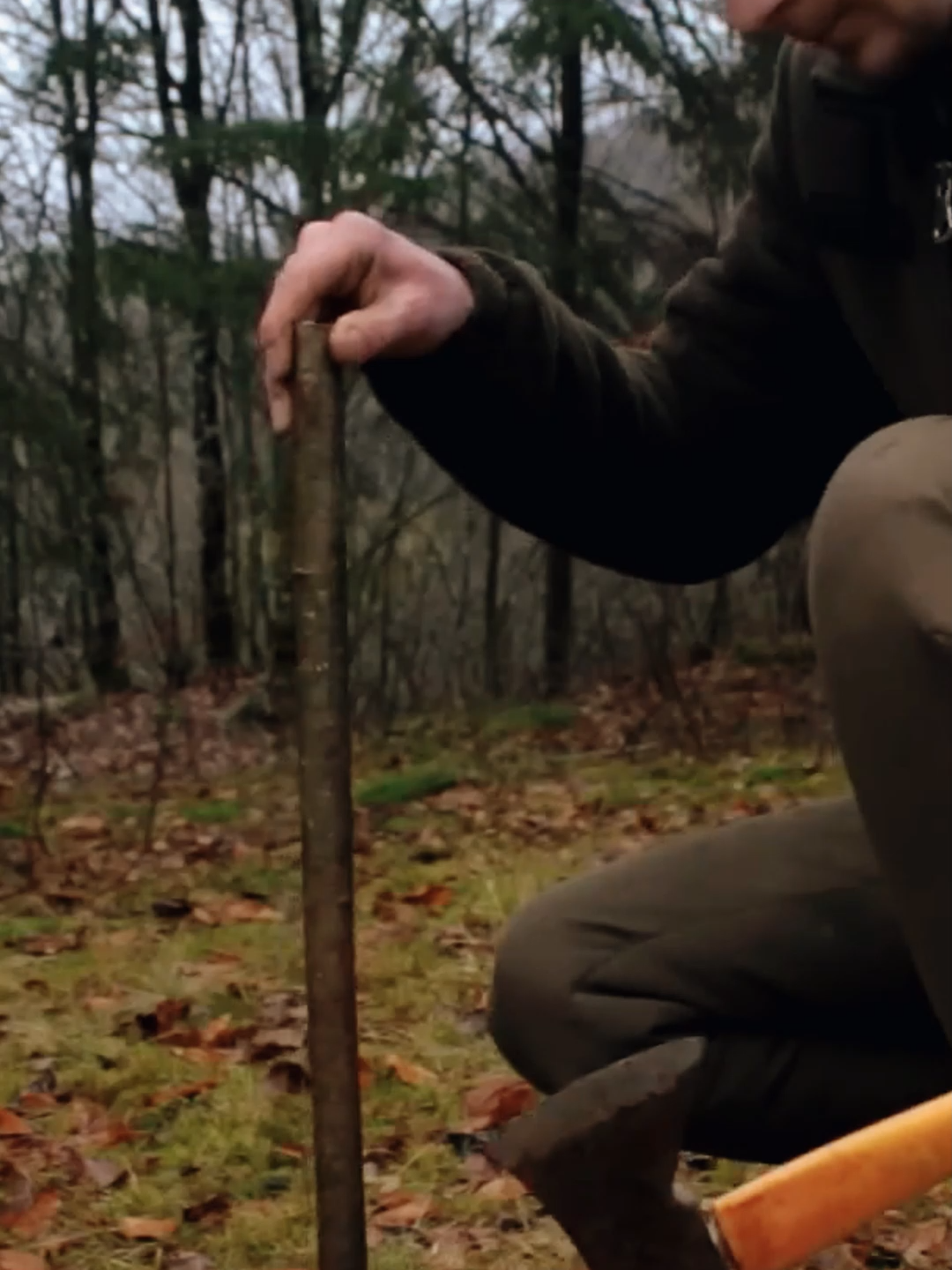 Secret House in the Forest for Survival#build #bushcraft #fyp #outdoor #wildernesscrafters #shelter