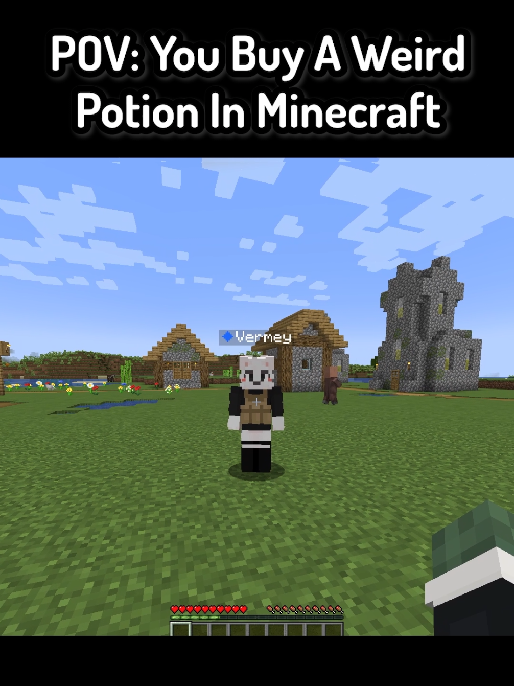 POV: You Buy A Weird Potion In Minecraft ( FT: @Vermey @tickledeath ) #Minecraft #funnymoments #mc #mcyt #minecraftmemes 