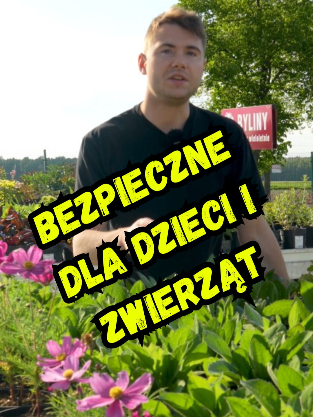 Rośliny bezpieczne dla dzieci i zwierząt 🐾👶🌿 Ogród, który nie szkodzi – tylko cieszy!#ogród #ogrod #ogrodnictwo #ogrodnik #poradyogrodnicze #poradyogrodowe #roślin #rośliny #kwiat #kwiaty #kwiatuszki