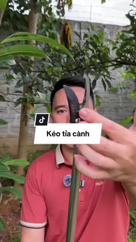 Kéo cắt tỉa cành trên cao lưỡi SK5 không rỉ cắt tỉa cành trên cao quá ok #dieucombo #zeedio #LearnOnTikTok 