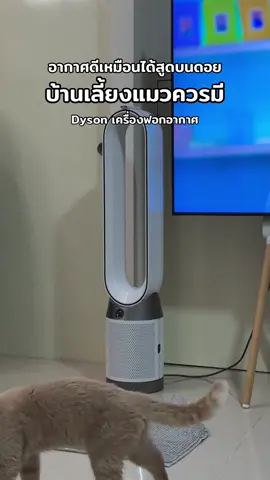 #dyson #TikTokShop88ดีลลดด่วน #เปย์แม่กับTikTok #วันแม่2025  #วันแม่TikTok  #ป้ายยาเฮลตี้ #ป้ายยาบิวตี้ 