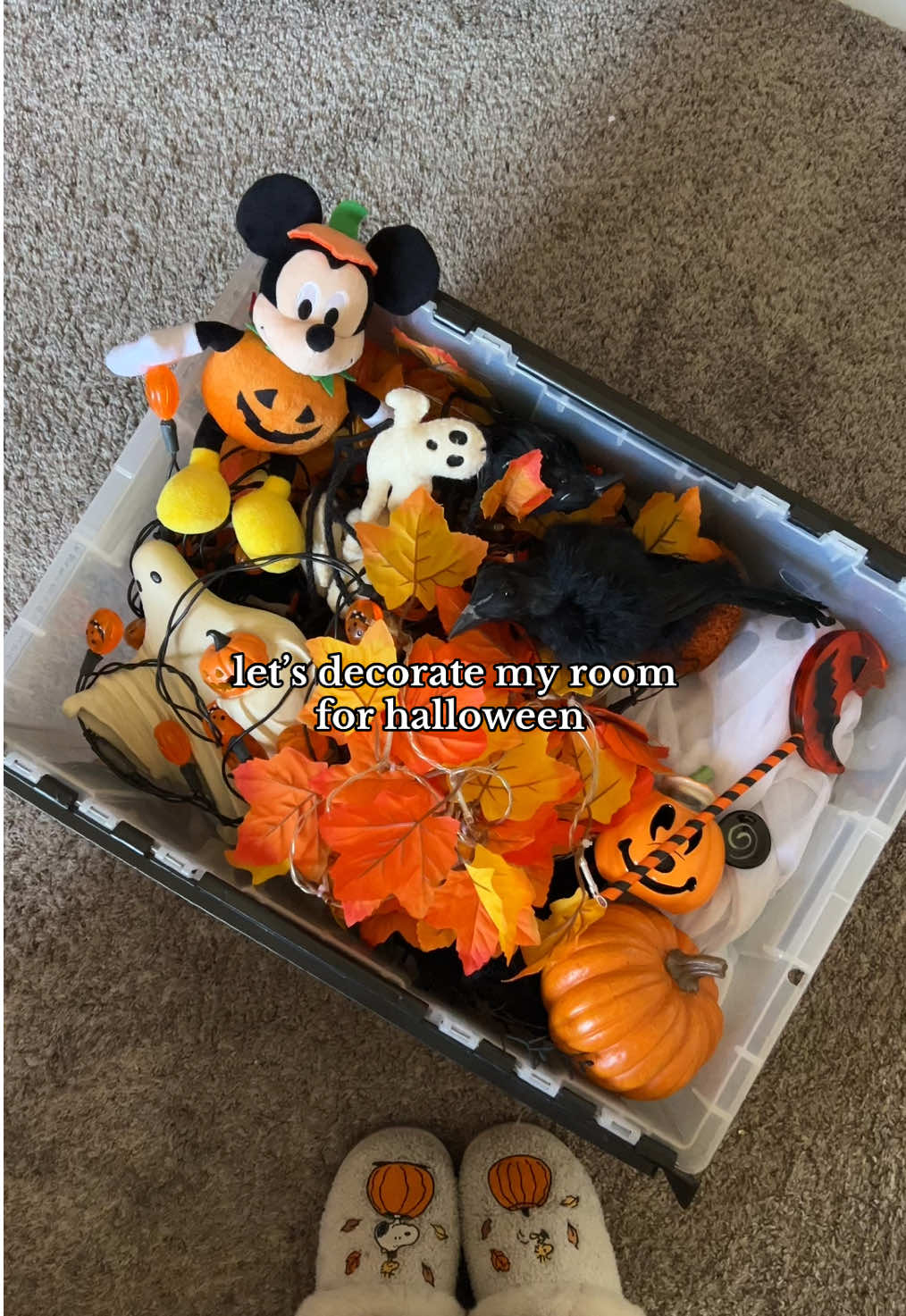 quite literally so therapeutic to decorate your room early for Halloween 🎃 #halloween #halloweendecor #halloweendecorations #halloweenlover #halloweentok #roomdecor #roominspo #halloweeninspo #octobermood #halloweenaesthetic #fallaesthetic #roommakeover #augtober #nightmarebeforechristmas #halloween2025 #decoratewithme #holidayreset #decoratewithme 