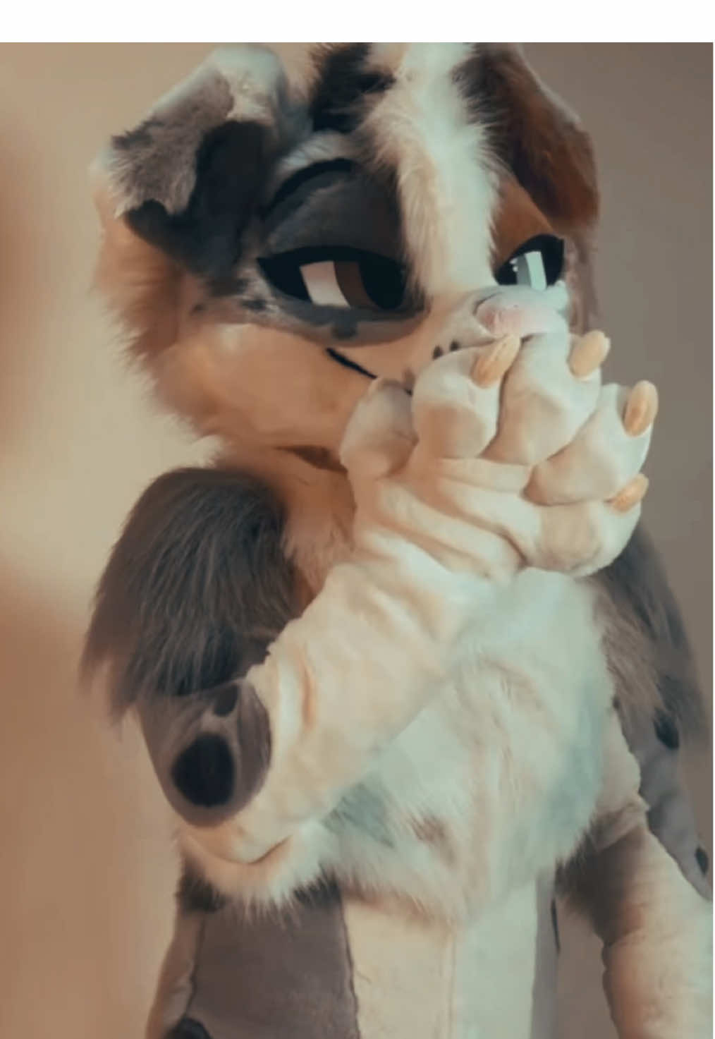 💖Hey there new fam~ the name is Jinx! #furry #fursona #furrycommunity #furryfandom #fursuit 