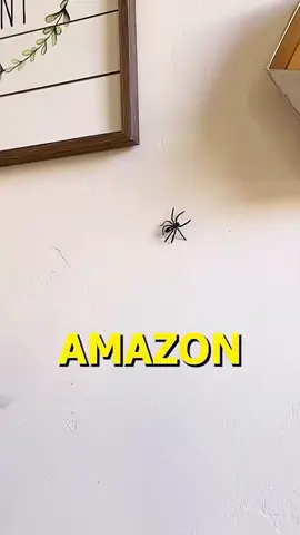 #tiktokmademebuyit #usefulproducts #productreview #usefulfinds #amazonmusthaves #amazonfinds #amazonfavorites #usefulgadgets 