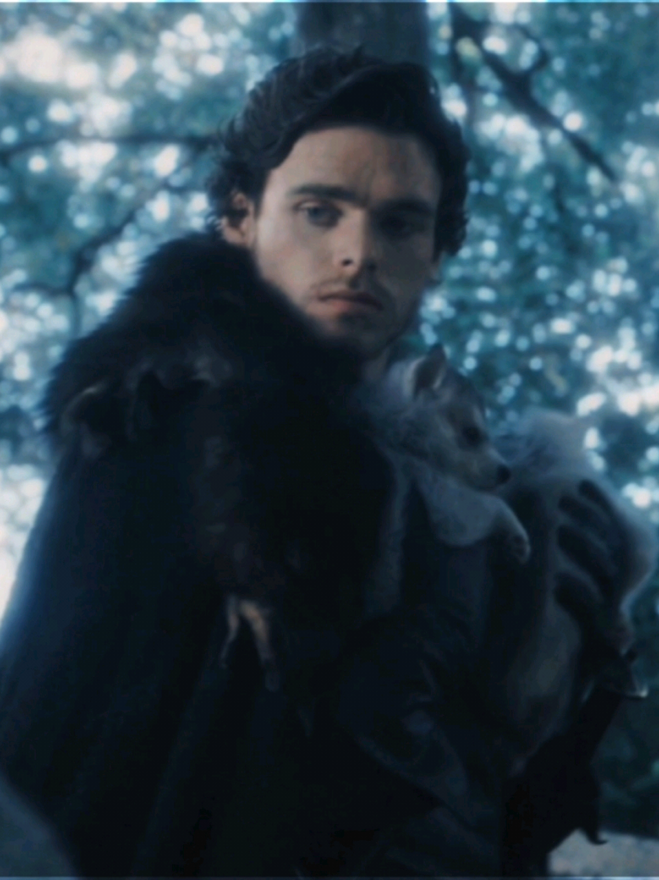 #ROBBSTARK ─── rewatching got...... IM SICK BRING BACK MY HUSBAND scp: skywaik3rsae ac: golden brown, the stranglers (nyrasbeats) (i slowed it down a bit!!) 🏷️: #robbstarkedit #robbstarkedits #richardmadden #gameofthrones #housestark #richardmaddenedit 