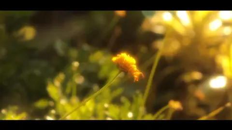 Multo parody w/ @wyyght (thx to @filmwdaryl for the sound) @gian.pb @cupofjoemusic  #foryou #viral #multo #cupofjoe #baguio 