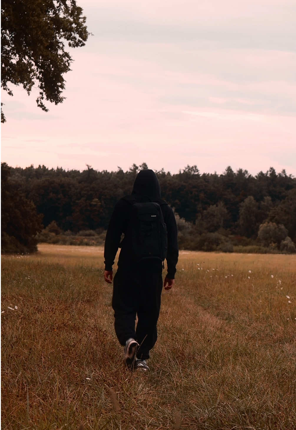 • • • #fyp #foruyou #motivation #nature #forest 