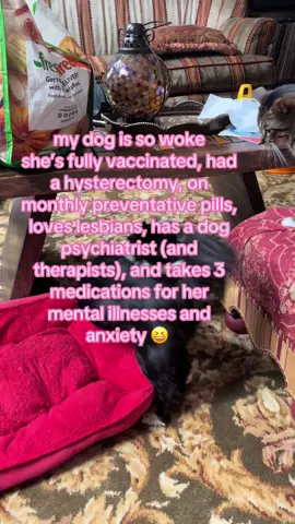 you seriously cannot tell me this is not my biological child! we both have ADHD, anxiety and are scared of everything. I was always expecting my dog to be like my child but I never expected her to be the literal dog version of me. let me know if you want a part two I literally could write multiple videos on how woke she is.  #DogTraining #reactivedogtraining #anxiety #democrat #fearfuldog #woke #republican 