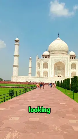 Taj Mahal: A Product of True Love #Miracle #Construction #India #TajMahal #foryou #tiktok 