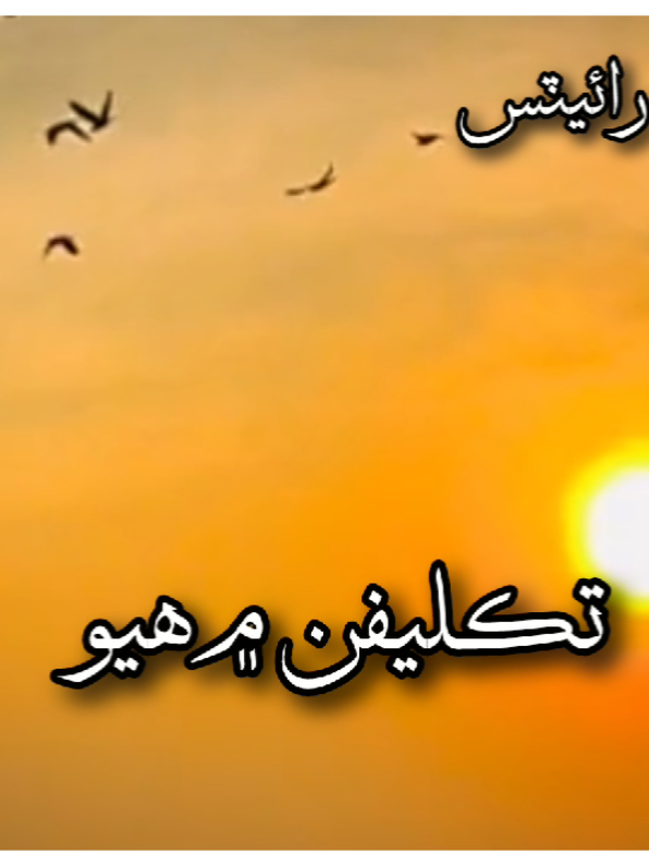 Dham ...... #sindhisongstatus #sindhinewstatus #sindhwale #sindhitiktok #sindhivideos #foryou #foryoupage      ︎ tiktokislove 