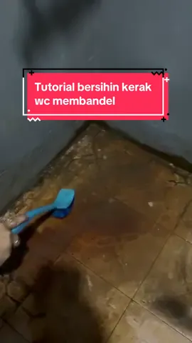 buat kalian yang mau bersihin kamar mandi juga wajib pake produk ini, bener bener AJAIBBB udah aku buktiin. Klik keranjang kuning🤩🤩