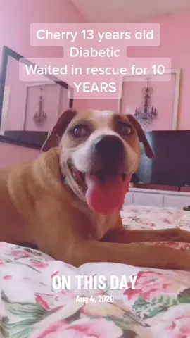 #onthisday 