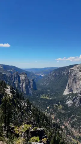 if you couldn’t tell, i’m inlove with nature #yosemite #yosemitenationalpark 