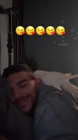 Es un sentimiento que nunca podré describirlo! Pero créanme que lo que me brinda calma cualquier tormenta que se posa ante mi. ❤️‍🩹 No se salten la etapa de tener a su Farolito 🩹