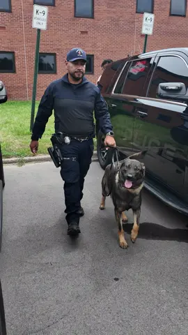 The Detroit Police K-9 Unit gained six new members recently, including three highly-trained German Shepherds. Welcome Liam, Varras and Vhagar to DPD! We’re excited to see you all do great work and help keep our city safe. 🐶🐾 #k9 