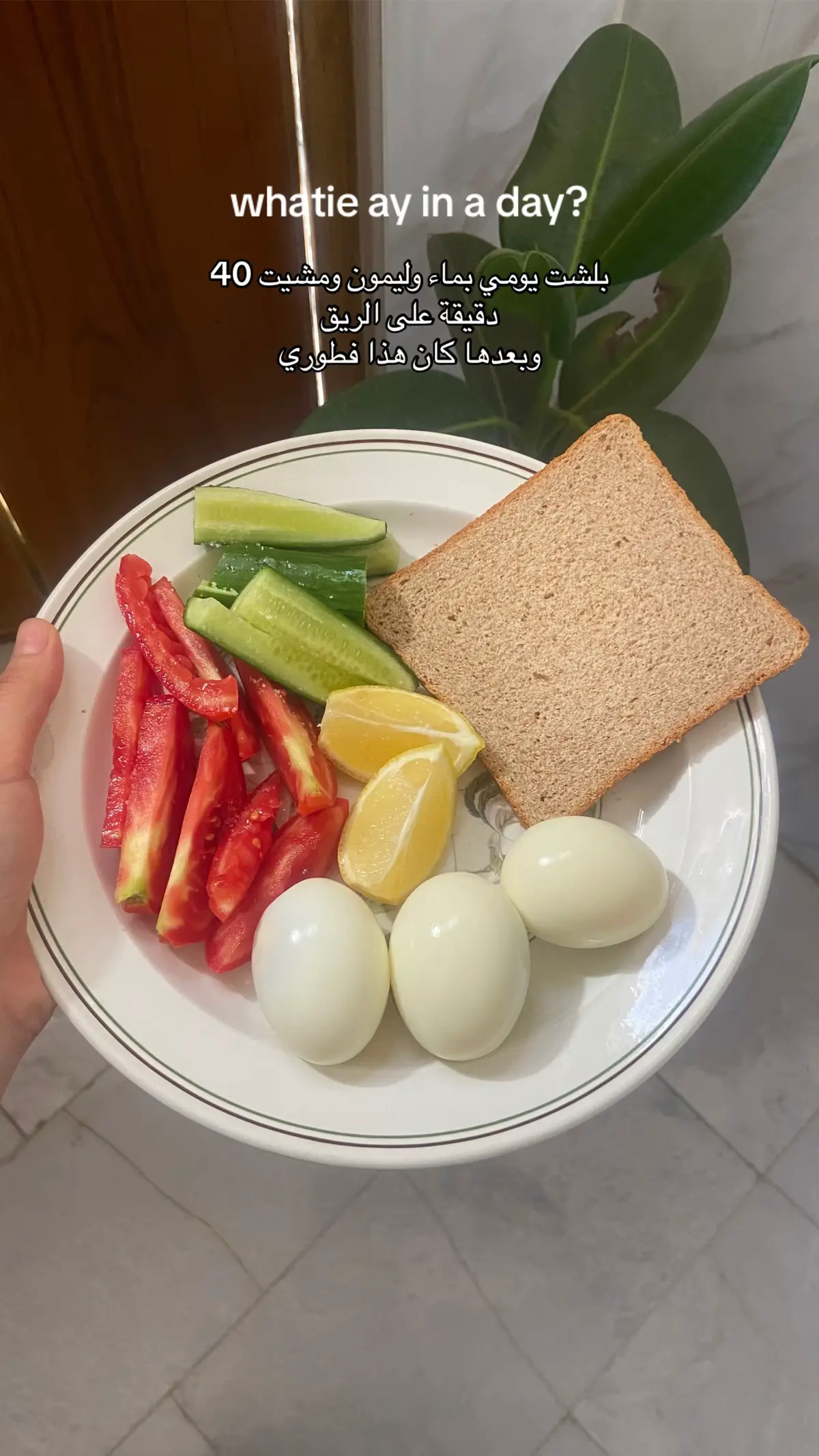 #الشيخ_احمد_الوائلي #الشعب_الصيني_ماله_حل😂😂 
