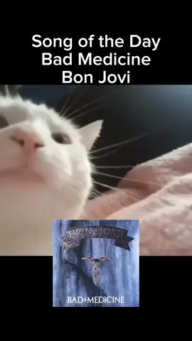 #songoftheday #badmedicine by #bonjovi #80s #80smusic #rockmusic #classicrock 