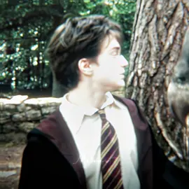 harryyy | ac cc me & presents bio  #harrypotter #harrypotteredit #fyp #danielradcliffe #viralvideos #aftereffect