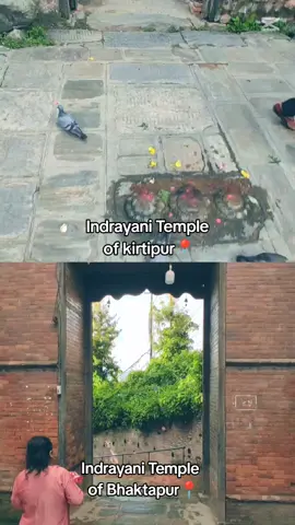 Did you guys know that Indrayani Temple of Bhaktapur & kirtipur is quite similar❤️ From the intricate carvings to the Historical & peaceful surroundings, the architecture of the Indrayani temples of Bhaktapur and Kirtipur feels likes similar. Exploring the spiritual heritage of kirtipur Indrayani temple & Bhaktapur Indrayani temple🙏❤️ #cultureofkirtipur #newa #newariculture #bhaktapur #kirtipur #indrayanitemple #kipu #khwopa #newars #culture  #bhaktapurindrayanitemple  #kirtipurindrayanitemple #nepalbhasa #fyp #trending #goviral 