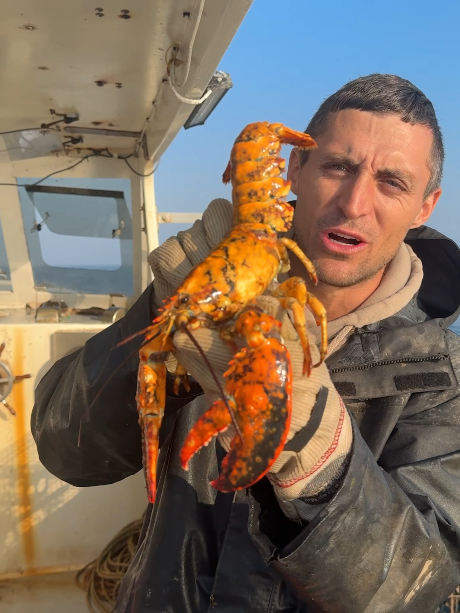 RARE 1 in 30 Million Lobster! #maine #interesting #fishing #seafood #commercialfishing #Outdoors #educate #learn #lobster #lobsterfishing #sustainable #theclawspa #rare #rarecatch #rarefind