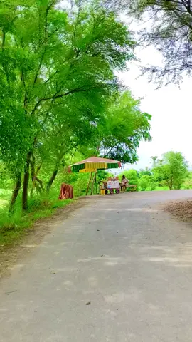 Beautiful Village Life #villagelife 