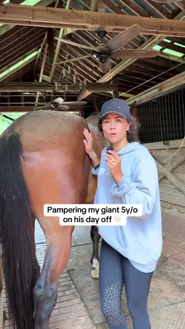 do you like summer or winter?? I’m a summer girl ☀️ #equestrian #horse #foryoupage #horsegirl #viralvideosofficial #horselife #giant4yearold #equestrianlife #horsesontiktok #fypdongggggggg #fyppppppppppppppppppppppp #horseshow #horsetok #viral #fypシ #fypp #horses 