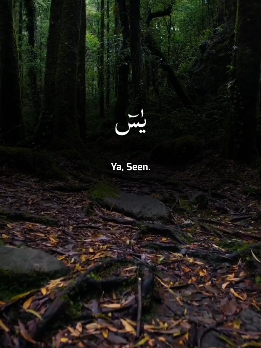 Surah Al Yaseen Recitation By Hamzha Budeeb A Beautiful Quran Recitation #quran #tilawat #recitation #قران #treading #تلاوات #fyp #unfrezzmyaccount 