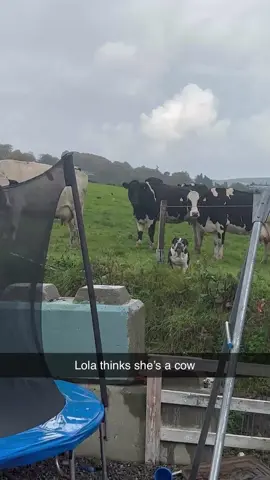 Don’t listen to her Lola