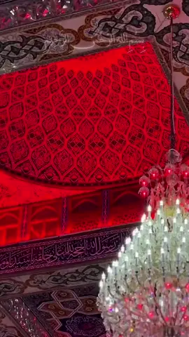 اللَّهُمَّ يَا شَارِحَ الصُّدُور، وَمُطَهِّرَ القُلُوب، وَمُيَسِّرَ الأُمُور، يَا بَاسِطَ اليَدَيْنِ بِالرَّحْمَةِ وَالكَرَم، اللَّهُمَّ بِكَ نَسْتَجِيرُ، وَعَلَيْكَ نَتَوَكَّلُ، وَإِلَيْكَ نَفِرُّ، فَارْزُقْنَا يَا رَبَّنَا طُمَأْنِينَةَ القَلْبِ، وَسَكِينَةَ النَّفْسِ، وَاشْفِ كُلَّ مَرِيضٍ منا، وَاكْفِنَا مَا أَهَمَّنَا، إنَّكَ عَلَى كُلِّ شَيْءٍ قَدِير، وَبِالإِجَابَةِ جَدِير ، يَا أَرْحَمَ الرَّاحِمِينَ  #يارب #fyp #foryoupage #viral #fypシ #foryou 