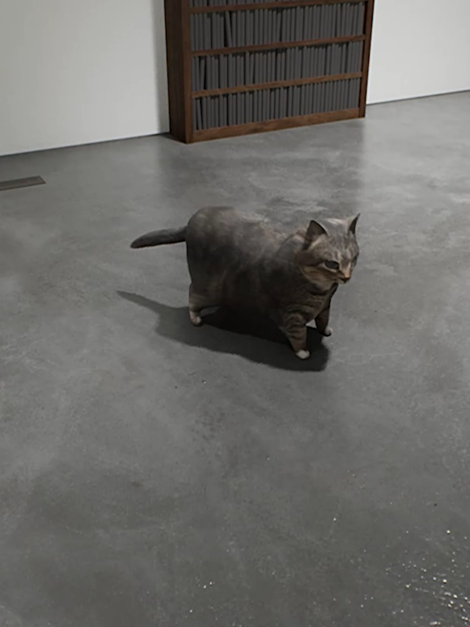 Unexpected Meme appears!  #twistedgallery  #loop  #exit8  #cat  #catmeme