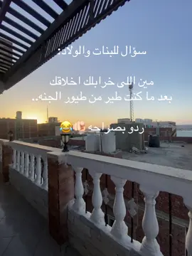 #الشعب_الصيني_ماله_حل😂😂 