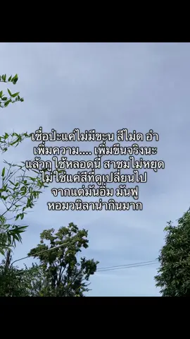 ริริโก๊ะเซรั่มบำรุง