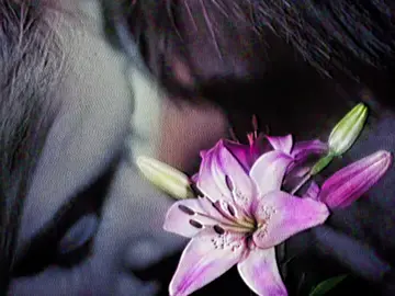 meet me in montauk #eternalsunshineofthespotlessmind 