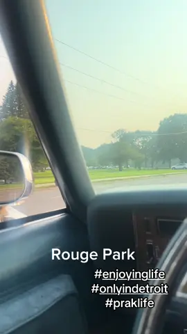 DETROIT THE CITY REALLY BE OUTSIDE ENJOYING LIFE 🏌🏿‍♂️ #onlyindetroit #EASTSIDE #WESTSIDE #bluesonthepark #scandalpark ##RougePark