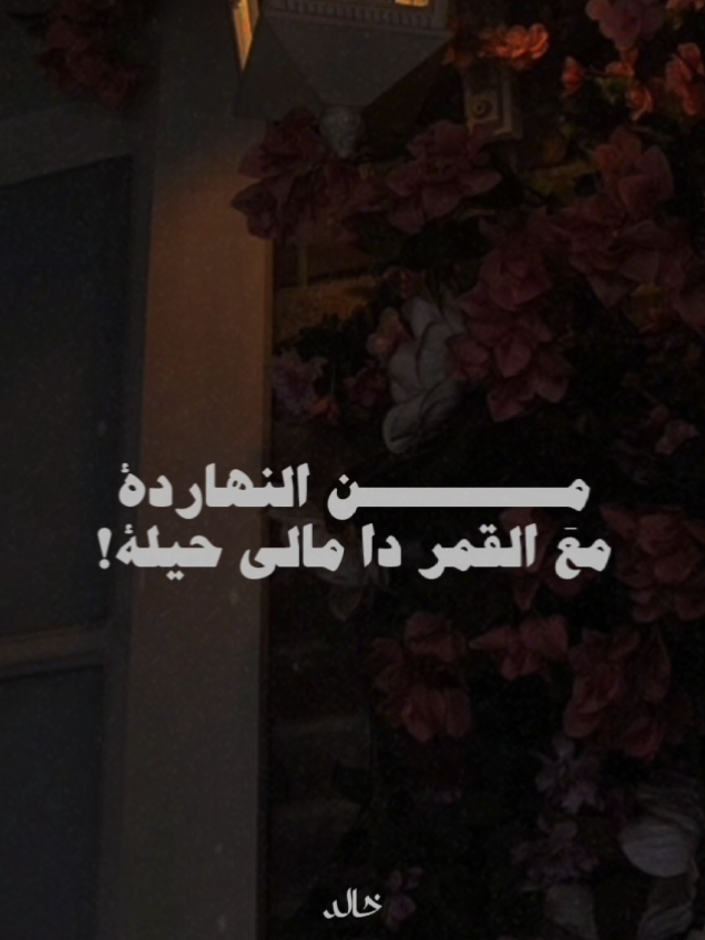 ولا لليلة ولا اجمل من دي ليلة 💕. #الهضبة #عمرو_دياب #amrdiab  #foryoupage #foryou #اكسبلورexplore 