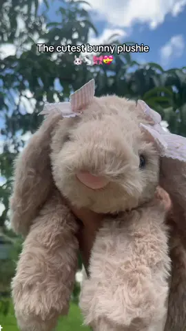 Can You Ever Have Too Many Bunny Plushies? 🐰👀 #bunnyplushies #bunnyplush #plushiesoftiktok #socute #tiktokshop 
