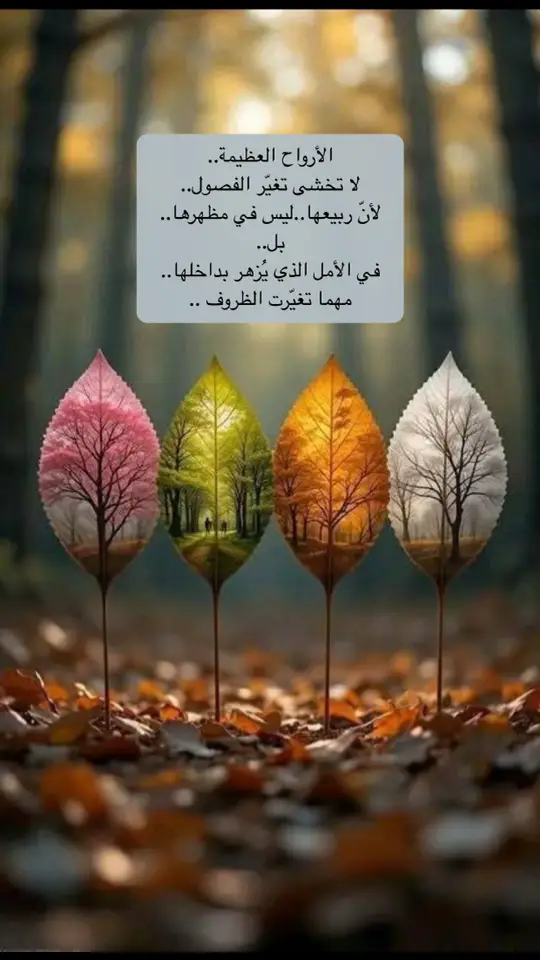 #خواطر #عبارات #كلمات #اقتباسات #اكسبلورexplore 
