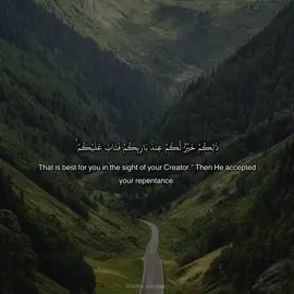 #quraan #تلاوات #القران_الكريم #quraanrecitation #التوبة_والرجوع_الى_الله #سورة_البقرة #surahalbaqarah #calf #cow #lord 