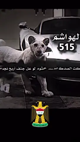 #CapCut #البكارة_الهاشمية_🇯🇴🔥515👑 