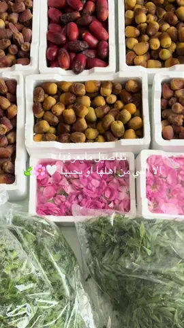 المدينة كيف نلقى زيها 🤍 #نعناع #رطب #ورد #المدينة #المدينه 