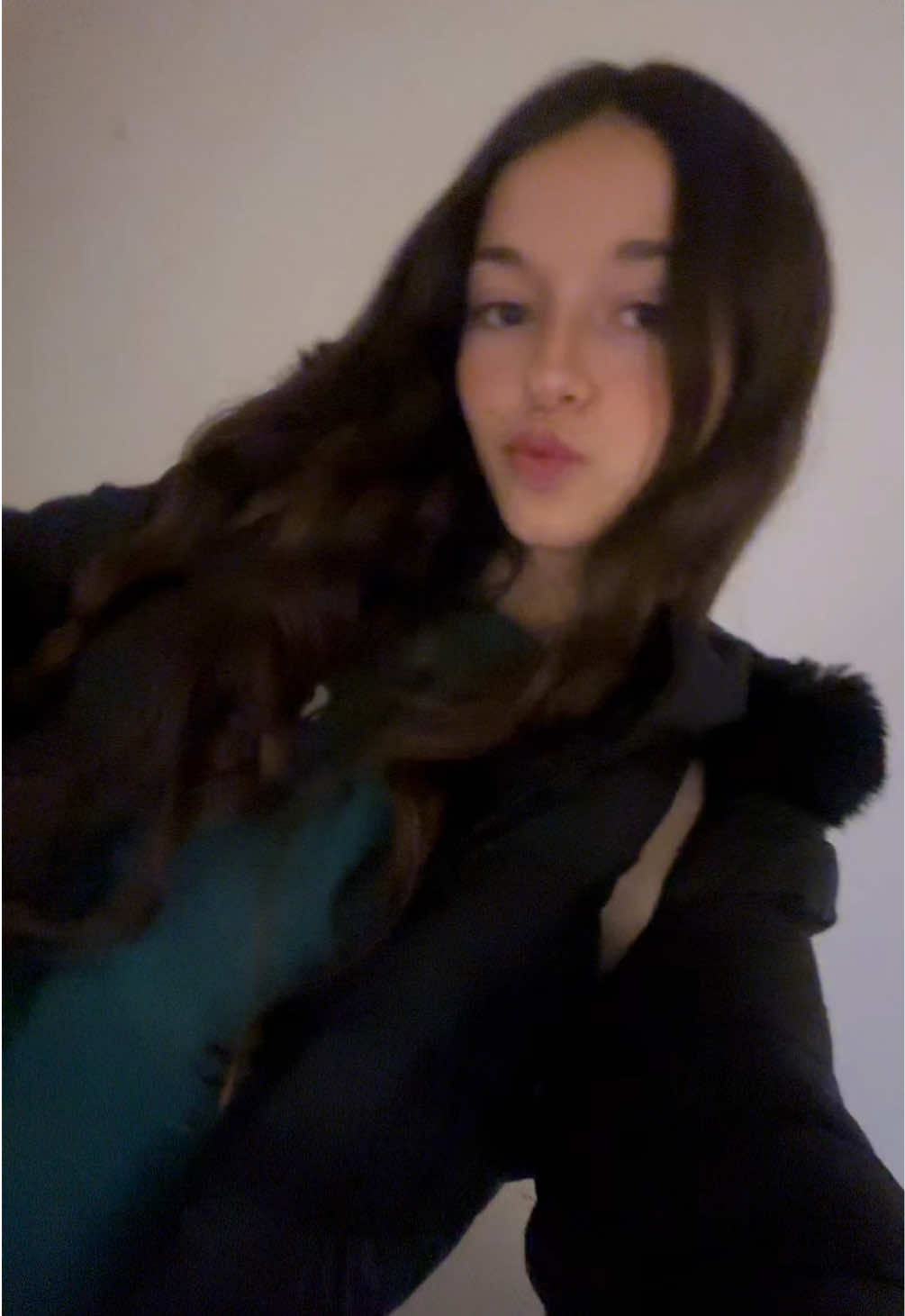 borradorrr